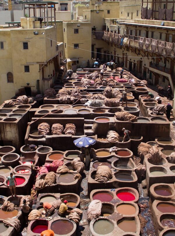 morocco, tannery, skin, fez, color, skins, smelly, craftsmen, moroccan, trip, africa, tourism, city, tanning, labor, fes, morocco, morocco, fez, fez, fez, fez, fes, fes, fes, fes, fes