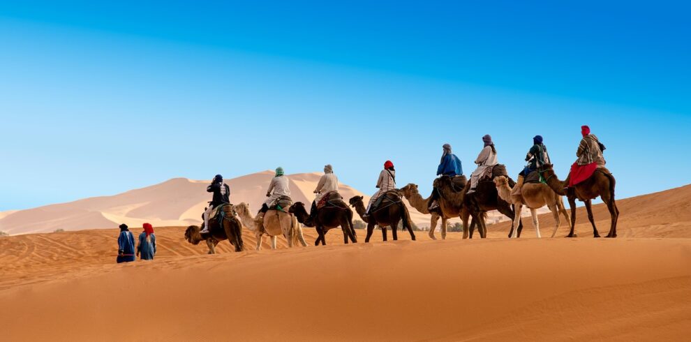 desert, the sand dunes, caravan, camel, berber, morocco, sahara, landscape, africa, sand, hot, nature, adventure, dune, drought, sky, peace of mind, marroc, travels, tourism, mood, erg chebbi, merzouga, camel, morocco, morocco, morocco, sahara, merzouga, merzouga, merzouga, merzouga, merzouga